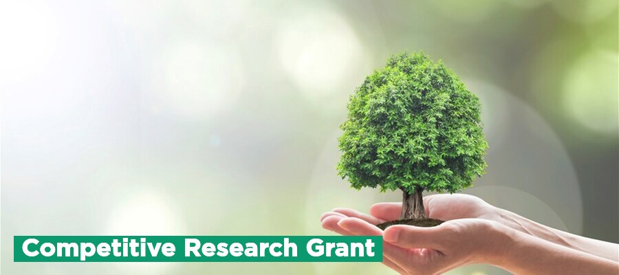 research grant